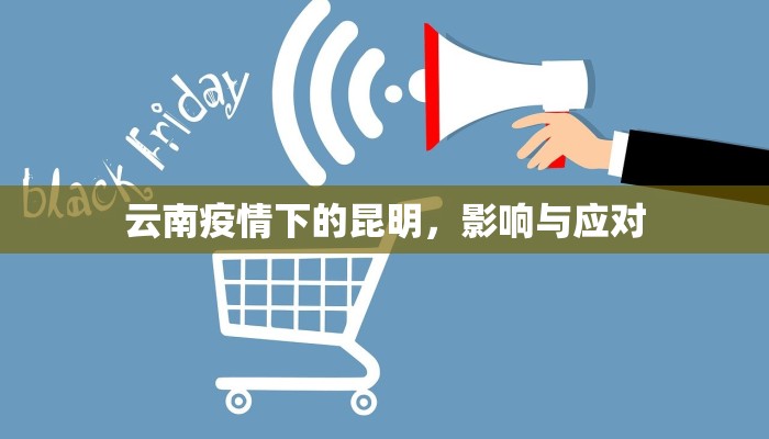 云南疫情下的昆明，影响与应对