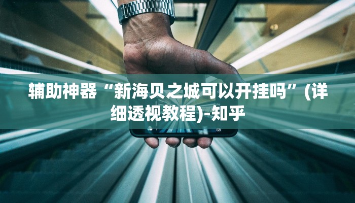 辅助神器“新海贝之城可以开挂吗”(详细透视教程)-知乎