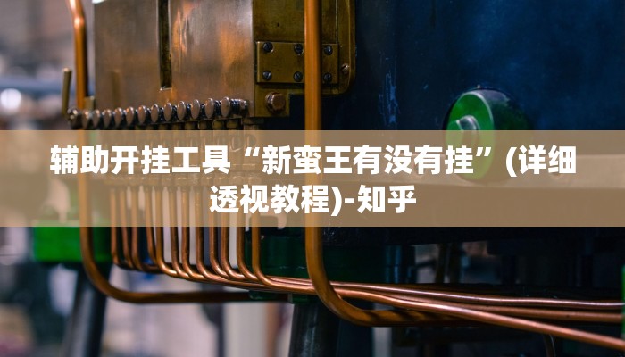 辅助开挂工具“新蛮王有没有挂”(详细透视教程)-知乎