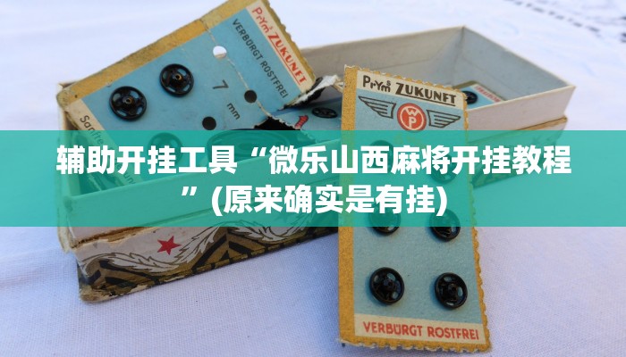 辅助开挂工具“微乐山西麻将开挂教程”(原来确实是有挂)