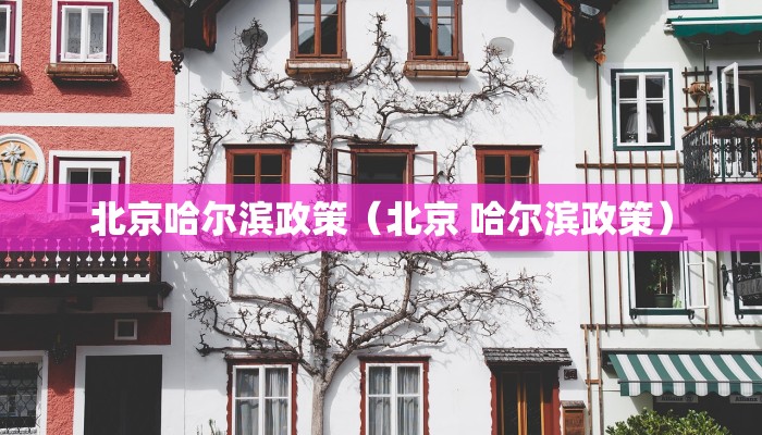 北京哈尔滨政策（北京 哈尔滨政策）