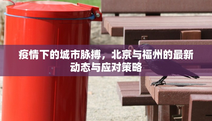 疫情下的城市脉搏，北京与福州的最新动态与应对策略