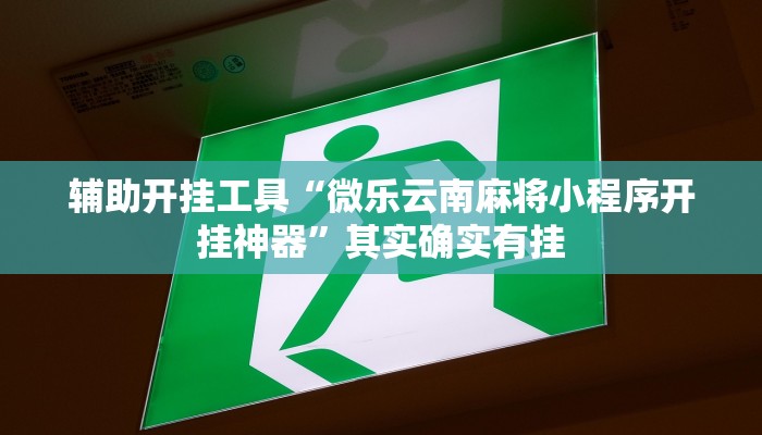 辅助开挂工具“微乐云南麻将小程序开挂神器”其实确实有挂