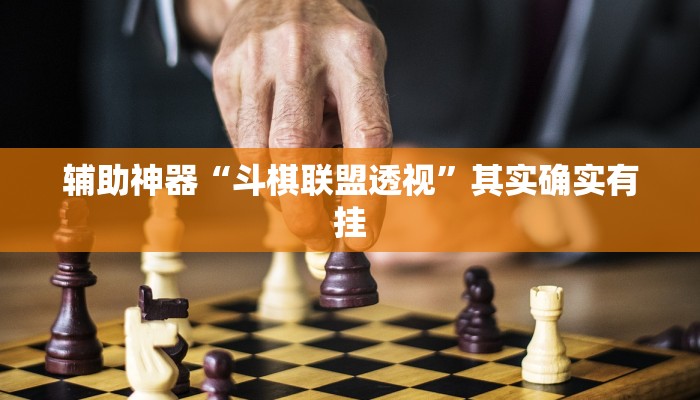 辅助神器“斗棋联盟透视”其实确实有挂