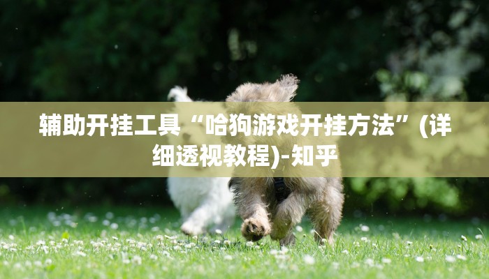 辅助开挂工具“哈狗游戏开挂方法”(详细透视教程)-知乎