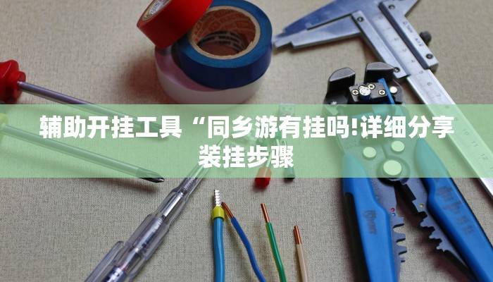 辅助开挂工具“同乡游有挂吗!详细分享装挂步骤