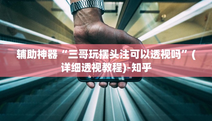 辅助神器“三哥玩摆头注可以透视吗”(详细透视教程)-知乎