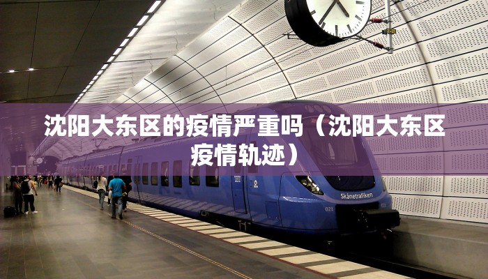 沈阳大东区的疫情严重吗（沈阳大东区疫情轨迹）