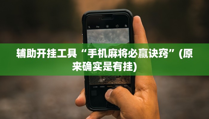 辅助开挂工具“手机麻将必赢诀窍”(原来确实是有挂)