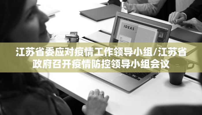 江苏省委应对疫情工作领导小组/江苏省政府召开疫情防控领导小组会议