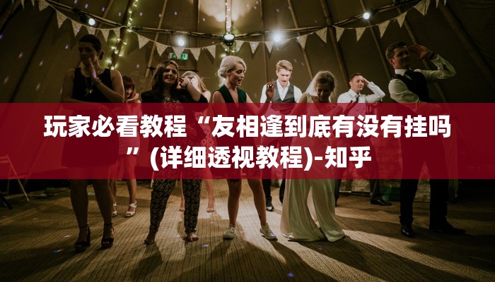 玩家必看教程“友相逢到底有没有挂吗”(详细透视教程)-知乎