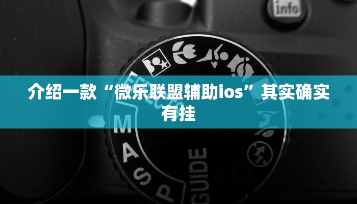 介绍一款“微乐联盟辅助ios”其实确实有挂
