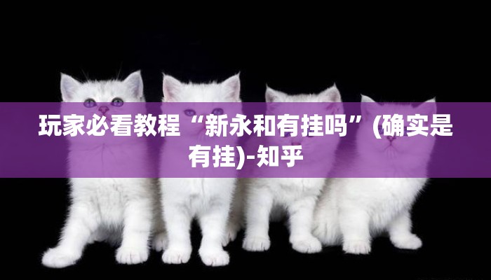 玩家必看教程“新永和有挂吗”(确实是有挂)-知乎