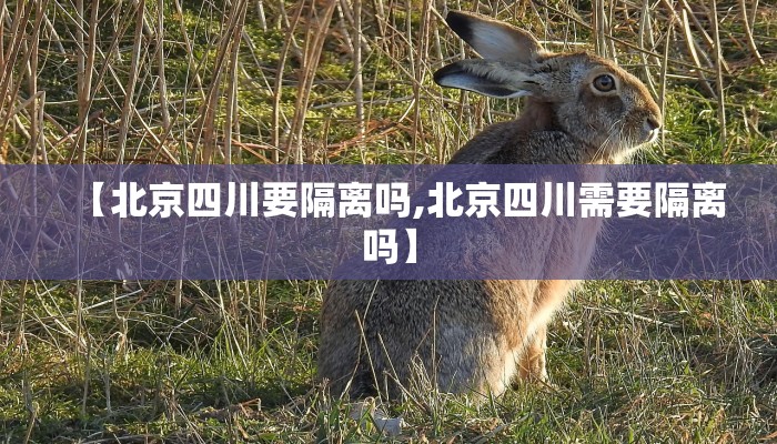 【北京四川要隔离吗,北京四川需要隔离吗】