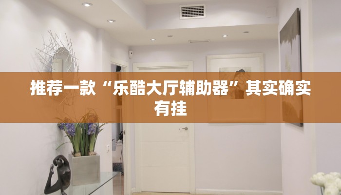 推荐一款“乐酷大厅辅助器”其实确实有挂