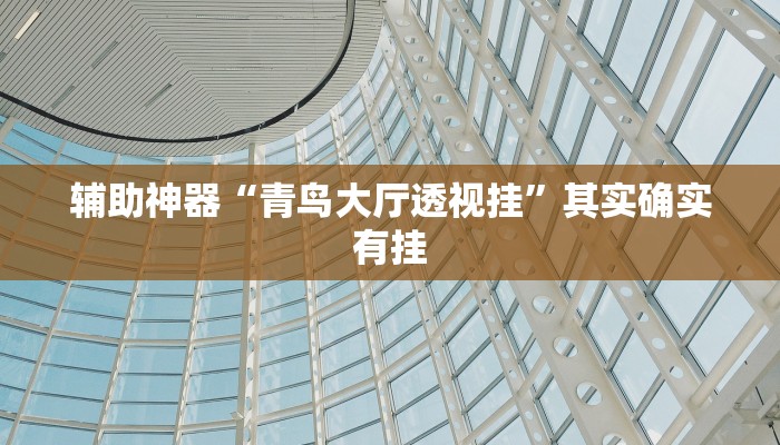 辅助神器“青鸟大厅透视挂”其实确实有挂