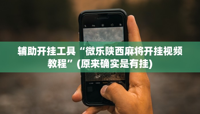 辅助开挂工具“微乐陕西麻将开挂视频教程”(原来确实是有挂)