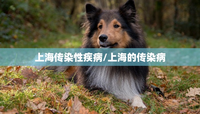 上海传染性疾病/上海的传染病