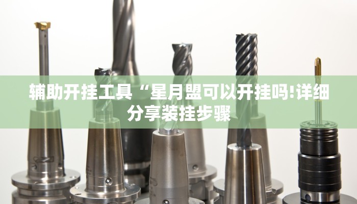 辅助开挂工具“星月盟可以开挂吗!详细分享装挂步骤