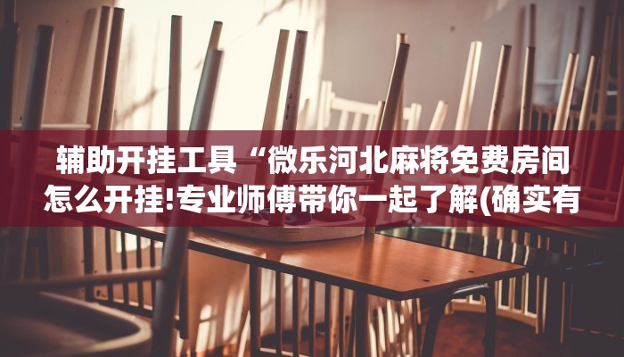 辅助开挂工具“微乐河北麻将免费房间怎么开挂!专业师傅带你一起了解(确实有挂)
