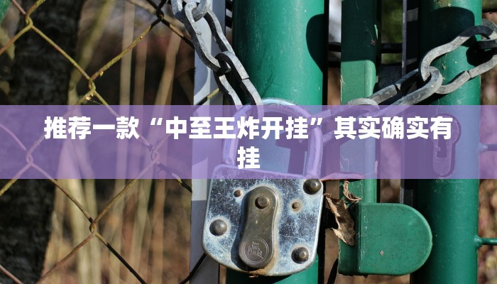 推荐一款“中至王炸开挂”其实确实有挂