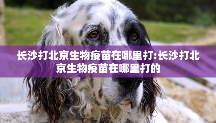 长沙打北京生物疫苗在哪里打:长沙打北京生物疫苗在哪里打的
