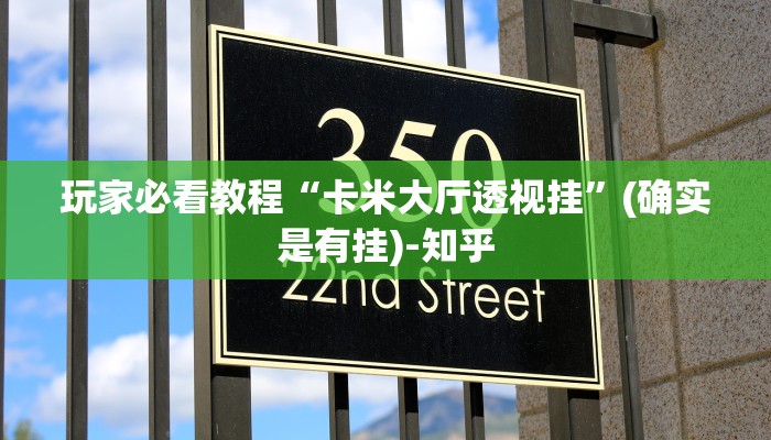 玩家必看教程“卡米大厅透视挂”(确实是有挂)-知乎