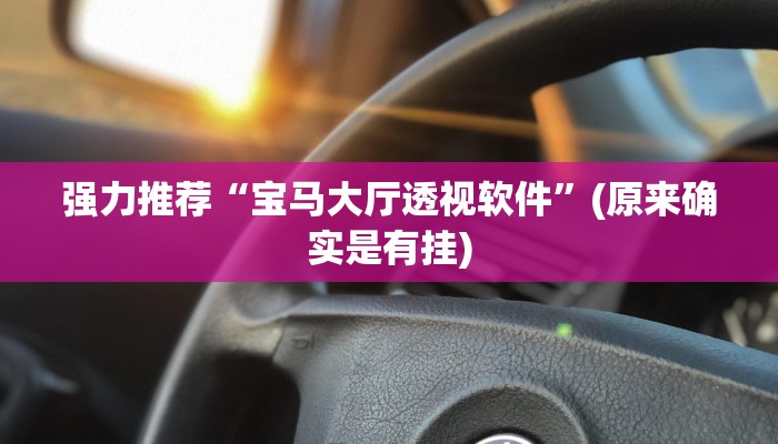 强力推荐“宝马大厅透视软件”(原来确实是有挂)