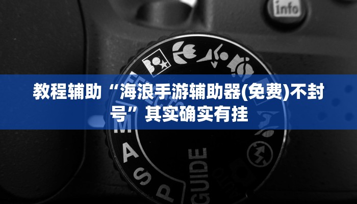 教程辅助“海浪手游辅助器(免费)不封号”其实确实有挂