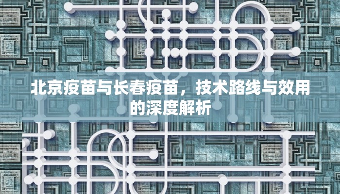 北京疫苗与长春疫苗，技术路线与效用的深度解析