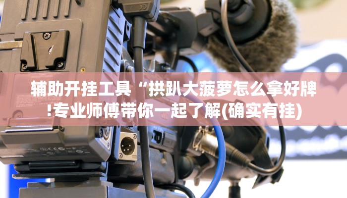 辅助开挂工具“拱趴大菠萝怎么拿好牌!专业师傅带你一起了解(确实有挂)