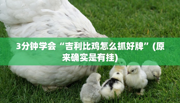 3分钟学会“吉利比鸡怎么抓好牌”(原来确实是有挂)
