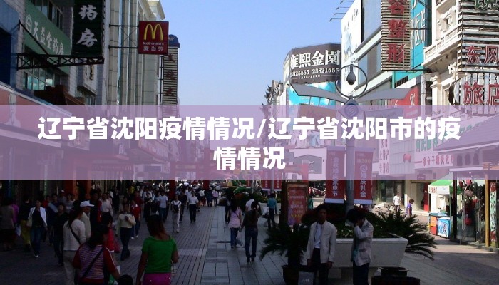 辽宁省沈阳疫情情况/辽宁省沈阳市的疫情情况