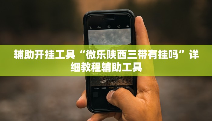 辅助开挂工具“微乐陕西三带有挂吗”详细教程辅助工具