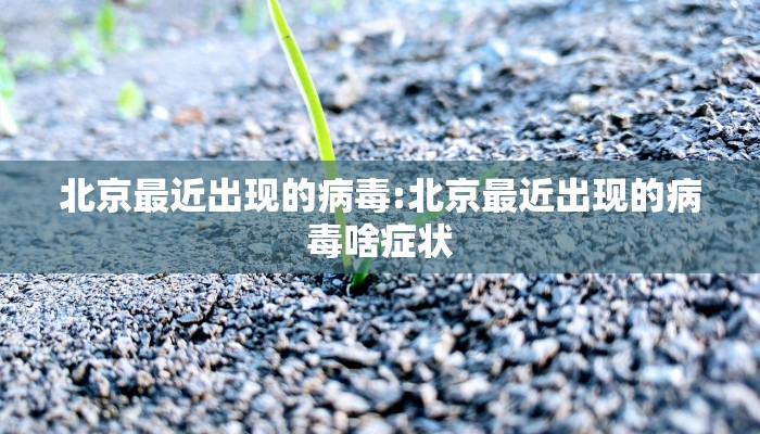 北京最近出现的病毒:北京最近出现的病毒啥症状