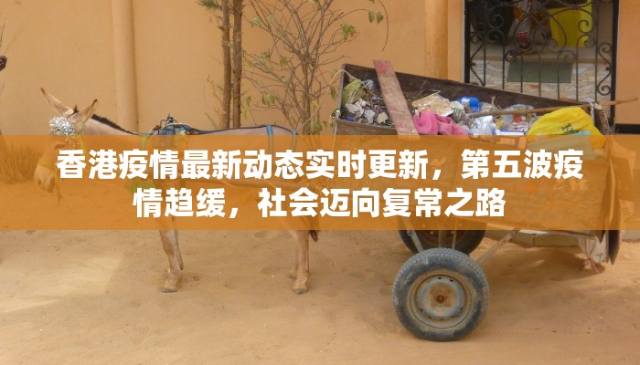 香港疫情最新动态实时更新，第五波疫情趋缓，社会迈向复常之路