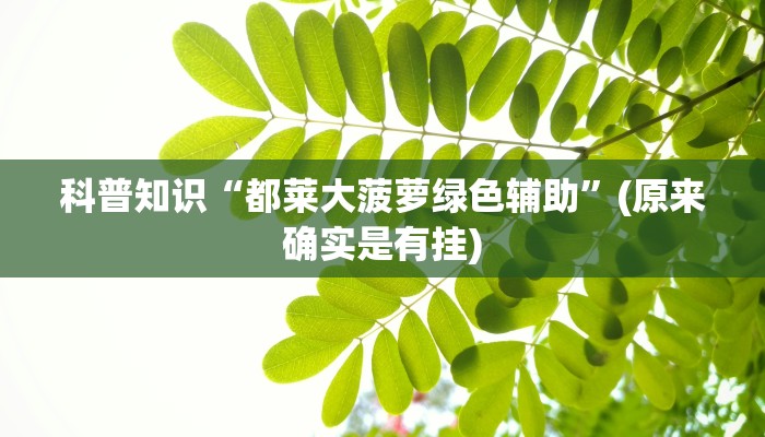 科普知识“都莱大菠萝绿色辅助”(原来确实是有挂)