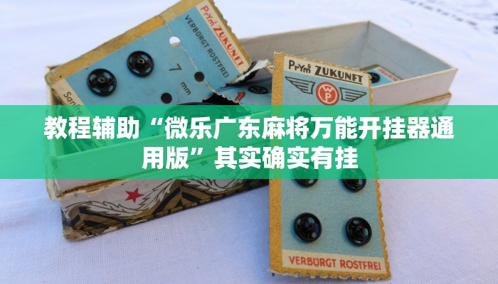 教程辅助“微乐广东麻将万能开挂器通用版”其实确实有挂