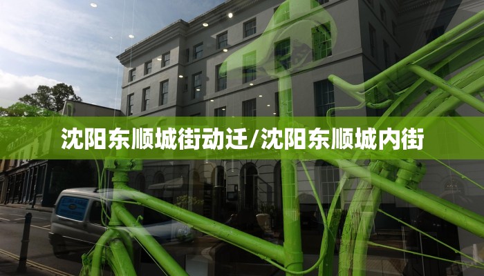沈阳东顺城街动迁/沈阳东顺城内街