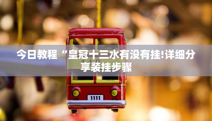 今日教程“皇冠十三水有没有挂!详细分享装挂步骤