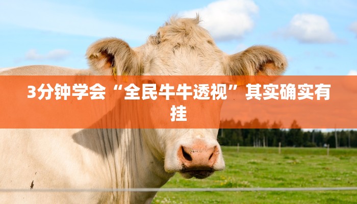 3分钟学会“全民牛牛透视”其实确实有挂
