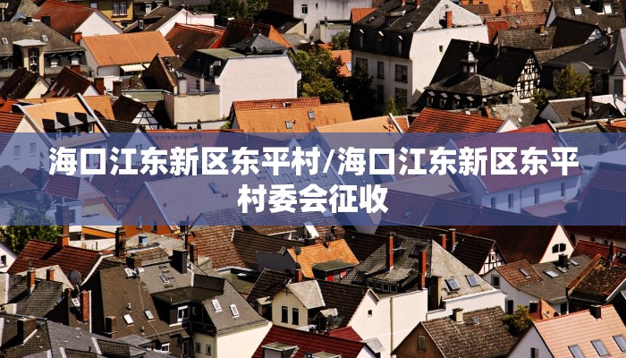 海口江东新区东平村/海口江东新区东平村委会征收