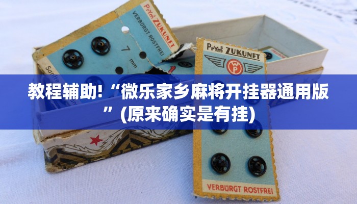 教程辅助!“微乐家乡麻将开挂器通用版”(原来确实是有挂)