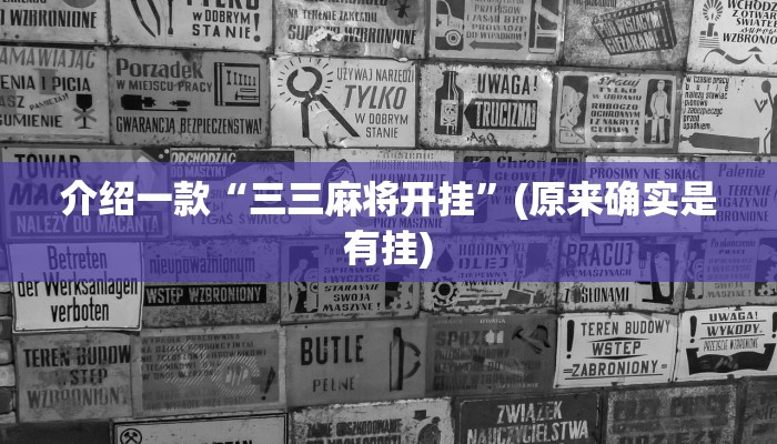 介绍一款“三三麻将开挂”(原来确实是有挂)
