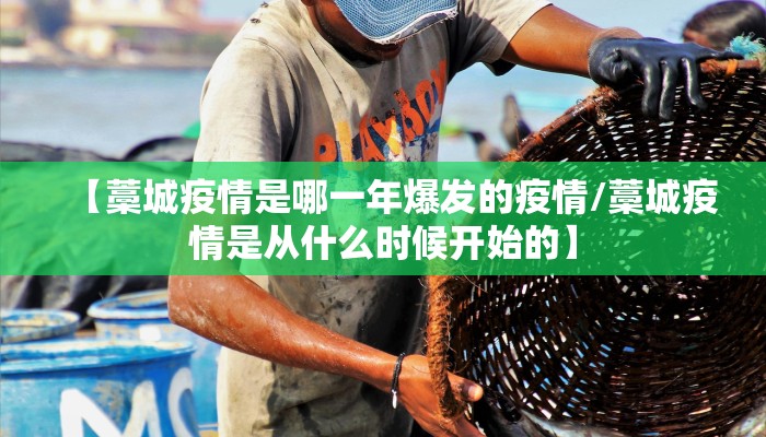 【藁城疫情是哪一年爆发的疫情/藁城疫情是从什么时候开始的】