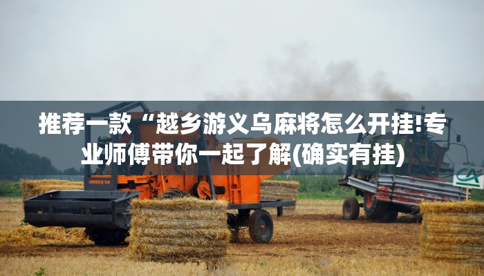 推荐一款“越乡游义乌麻将怎么开挂!专业师傅带你一起了解(确实有挂)