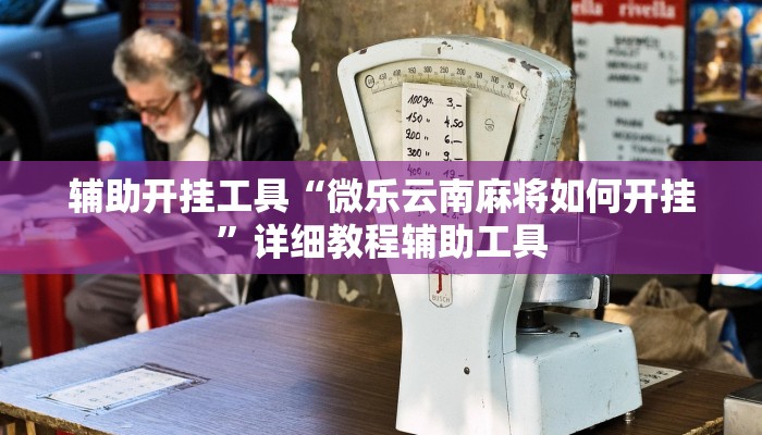 辅助开挂工具“微乐云南麻将如何开挂”详细教程辅助工具