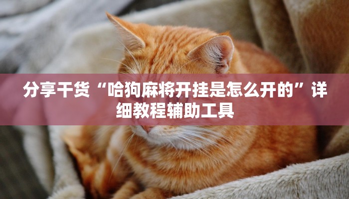分享干货“哈狗麻将开挂是怎么开的”详细教程辅助工具