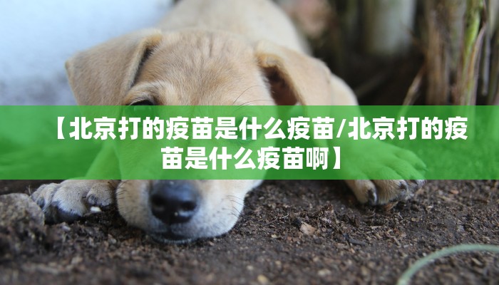 【北京打的疫苗是什么疫苗/北京打的疫苗是什么疫苗啊】