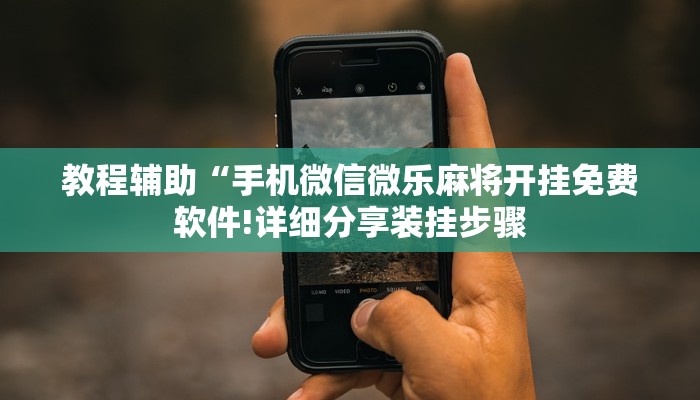 教程辅助“手机微信微乐麻将开挂免费软件!详细分享装挂步骤